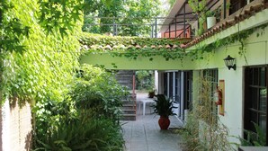 A narrow stone pathway leading to a covered outdoor area with a table and chairs, surrounded by lush greenery and potted plants. - Hotel La Ballena (Punta del Este)