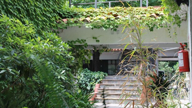 A staircase surrounded by lush greenery and a fire extinguisher mounted on the wall. - Hotel La Ballena (Punta del Este)