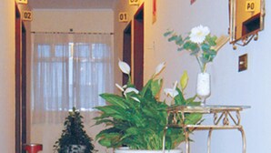 A hallway with a potted plant, a small table with a vase, and a red object on the floor. - Hotel Podium (Sao Caetano do Sul)