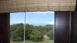 Ein Fenster mit Blick auf eine Wiese und Bäume.