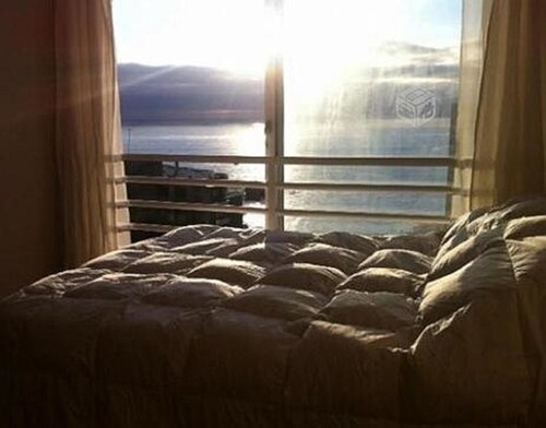 Pingel Apartment Euromarina 2