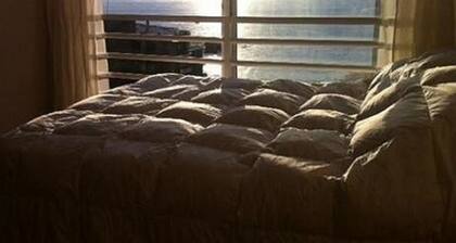 Pingel Apartment Euromarina 2