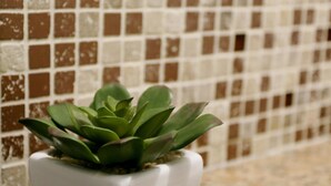 Una planta suculenta en maceta frente a un muro de azulejos.