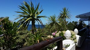 A garden with various plants and a view of the sea. - Hotel Morgan Bay (Piriapolis)