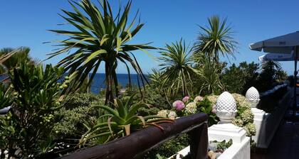 Hotel Morgan Bay