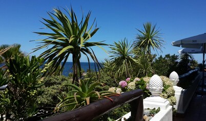 Hotel Morgan Bay
