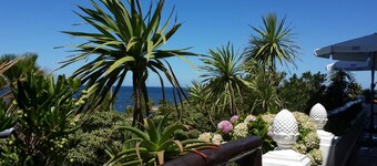Hotel Morgan Bay