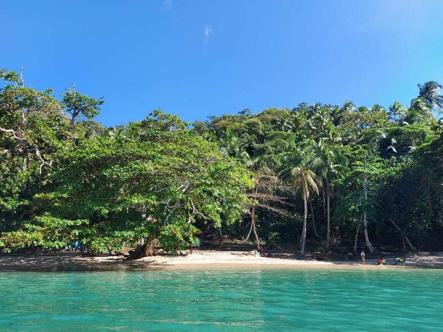 Beach nearby, kayaking