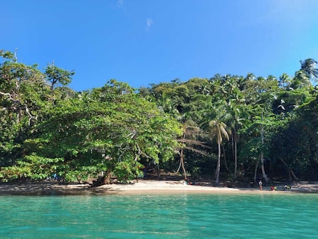 Beach nearby, kayaking