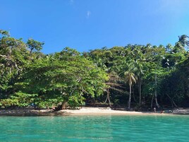 Una playa con agua turquesa cristalina, exuberante follaje tropical y una orilla de arena.