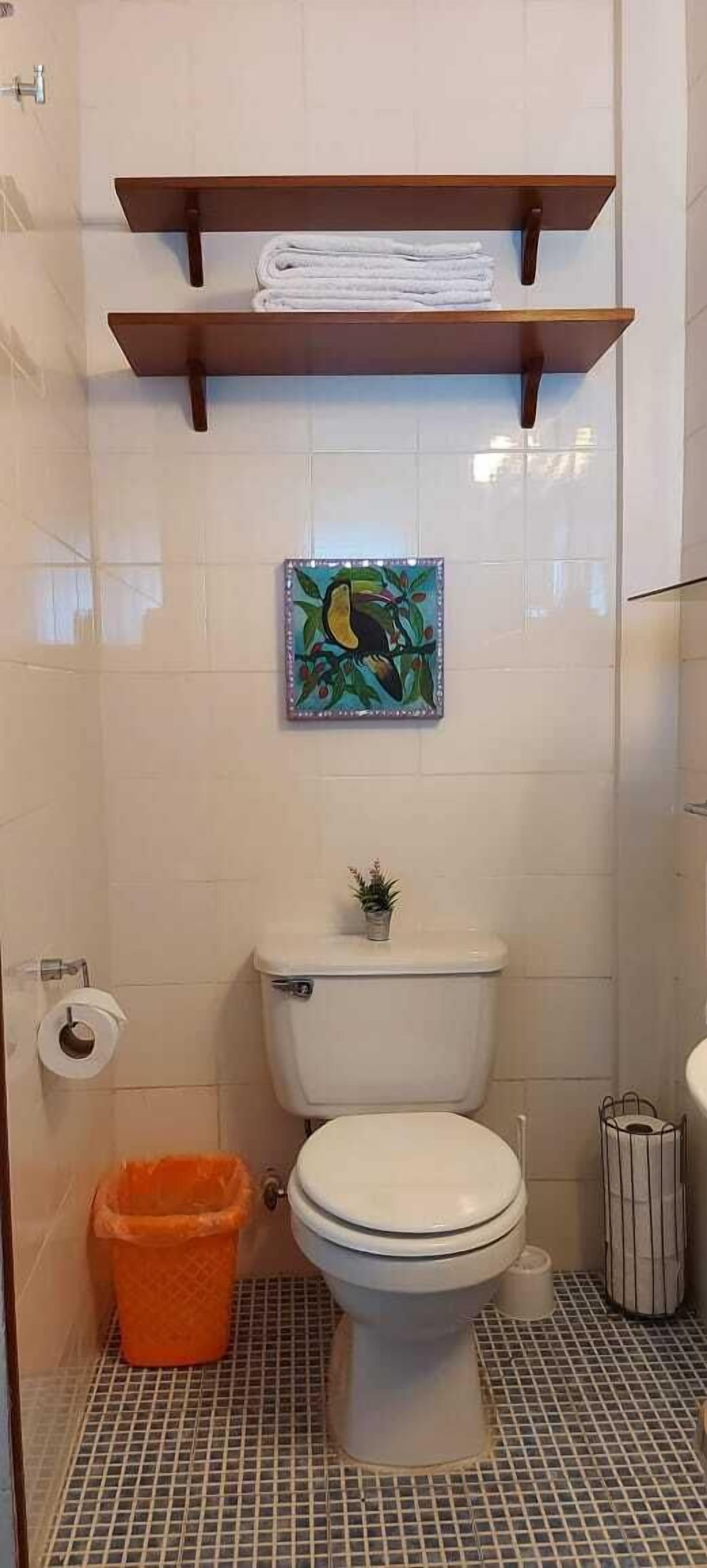 A bathroom with a toilet, a shelf with towels, a trash bin, and a small plant on the toilet.