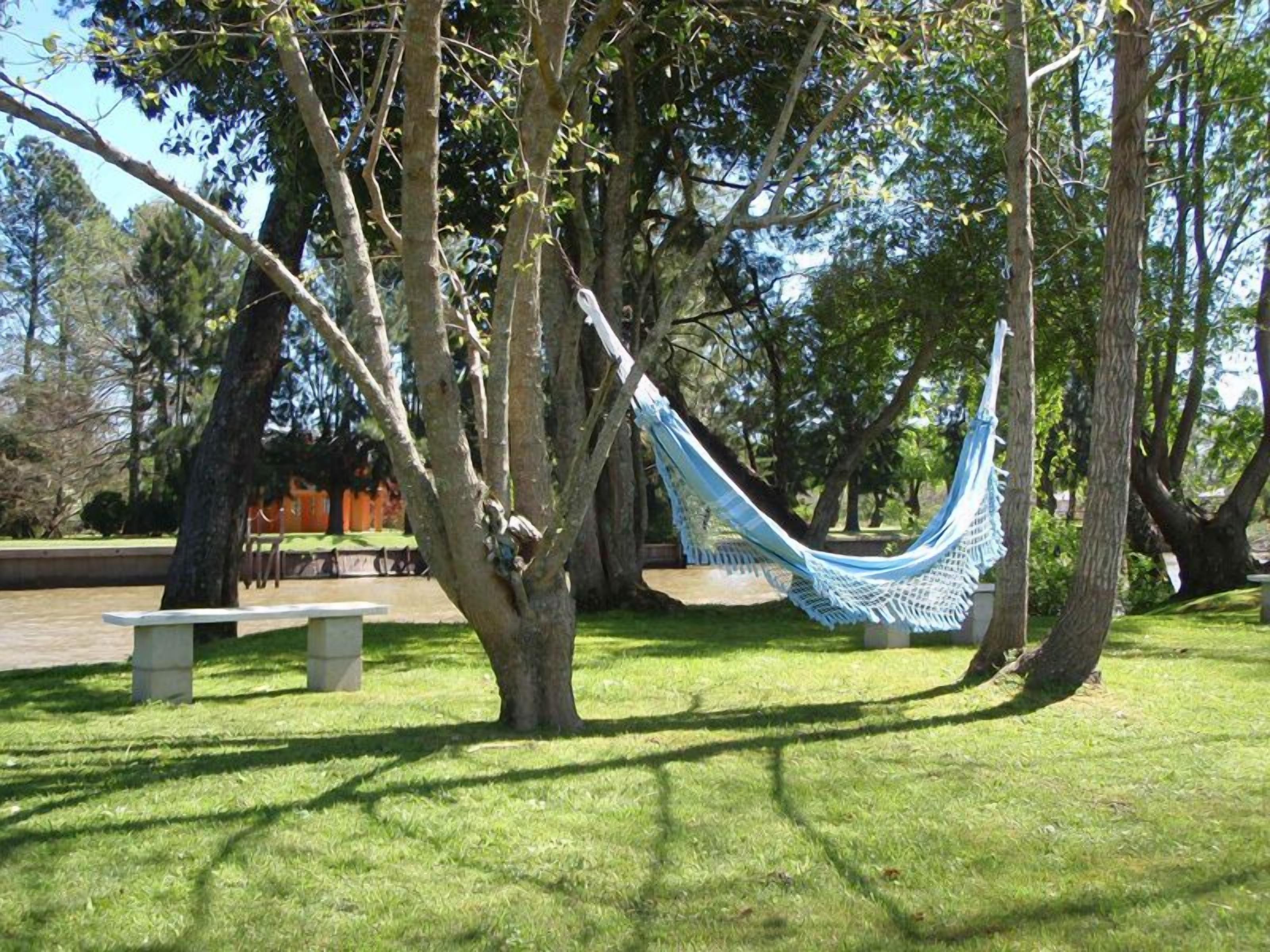 A hammock between trees in a park with benches and a picnic table.
