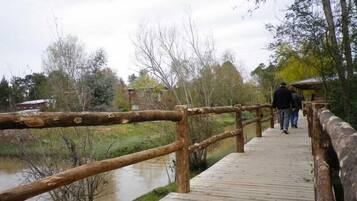 A wooden boardwalk over a body of water, surrounded by trees and a building in the background.