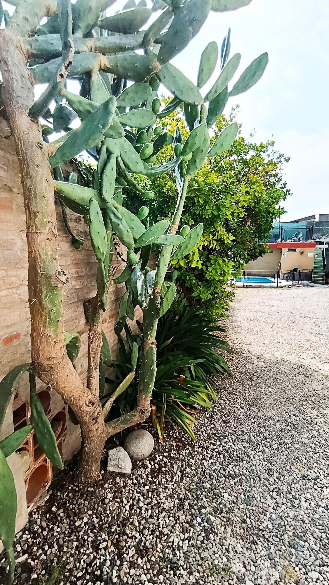Servicio de la propiedad