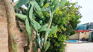 A cactus plant, gravel ground, and a building in the background. - Altas Cumbres Hotel & Apart (Villa Carlos Paz)