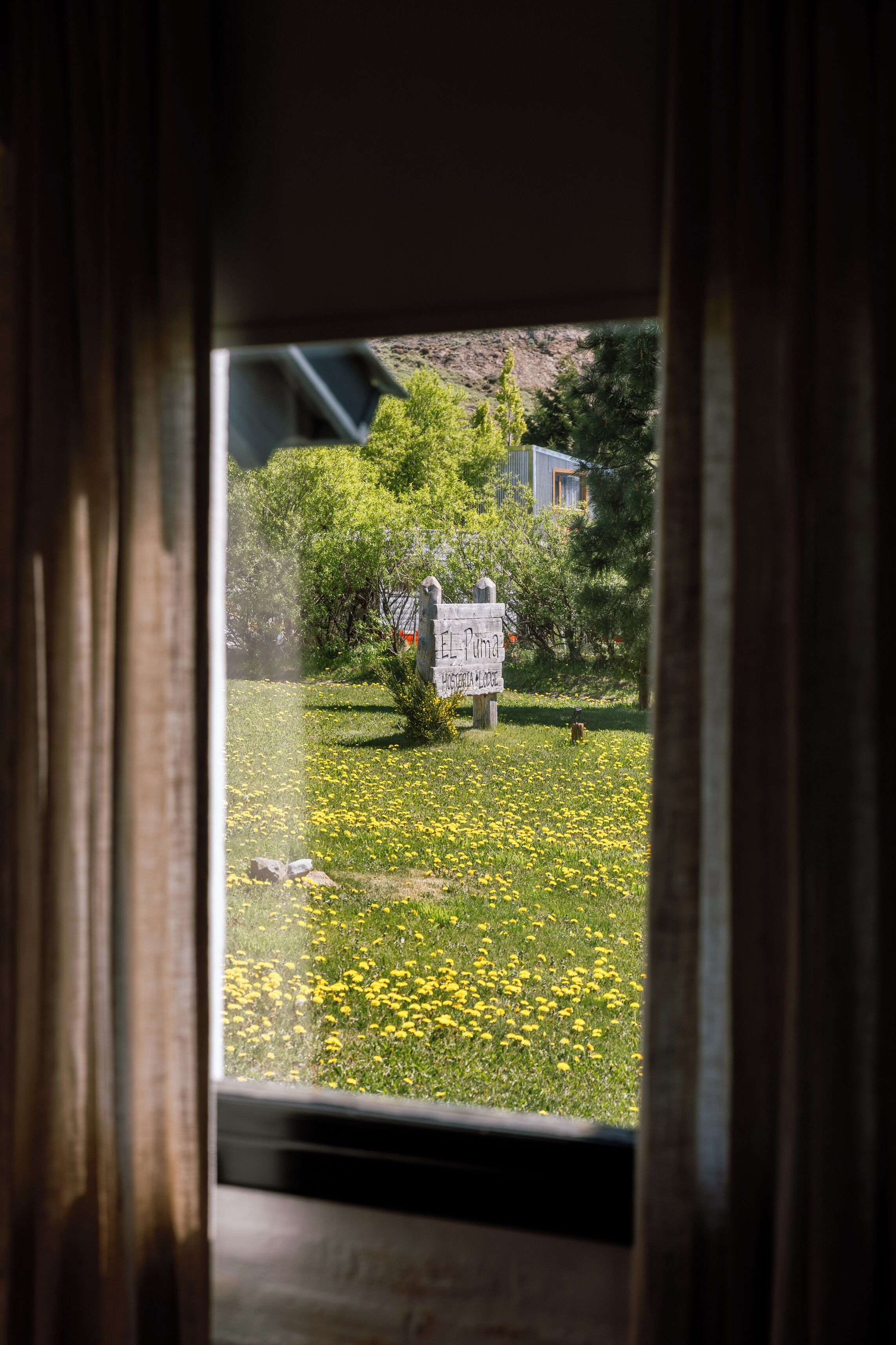 A window view of a sign in a grassy area with yellow flowers, a tree, and a building in the background.