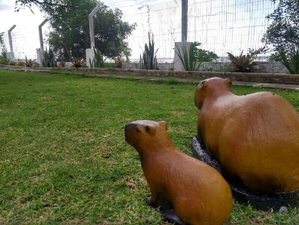 A grassy area with two large, brown, beaver-like sculptures.
