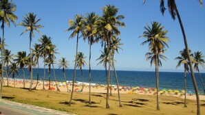 A beach with palm trees and beach umbrellas.