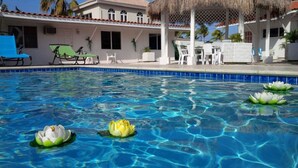 A swimming pool with water lilies, lounge chairs, and a covered seating area with a thatched roof. - Tu Casita (Noord)