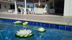A pool with water lilies and a covered patio area with white furniture. - Tu Casita (Noord)