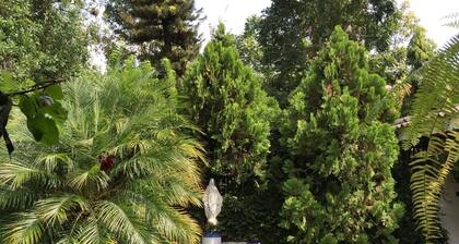 Hotel Bio Parque Paradise