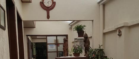 Un pasillo con piso de madera, un reloj en la pared y plantas en macetas.