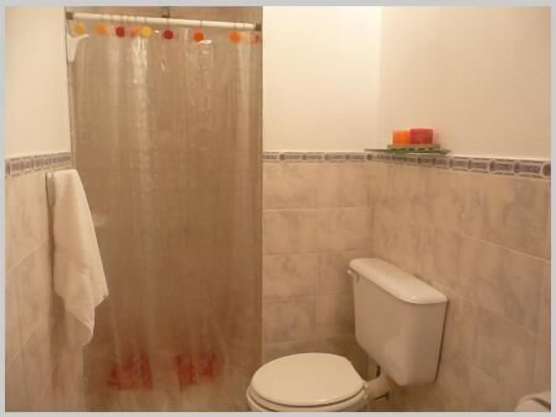 A bathroom with a shower curtain, a toilet, and a towel hanging on the wall.