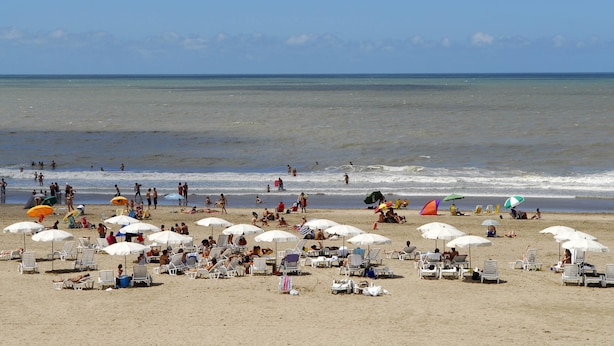 A beach with numerous white umbrellas and sun loungers, people swimming and walking along the shore. - Apart E Luru (Mar de Las Pampas)