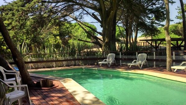 Relax by the serene pool surrounded by lush greenery and tall trees.