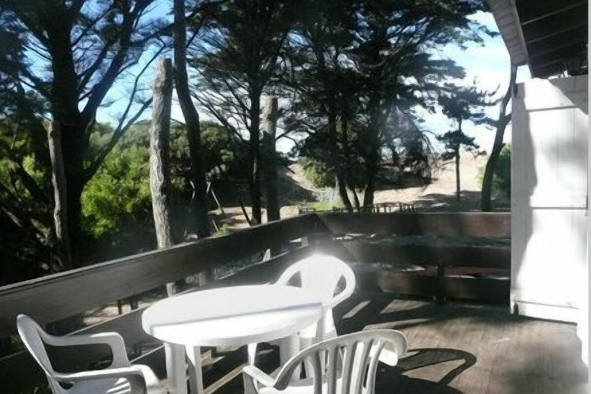 An outdoor seating area with a table and chairs, surrounded by trees and a view of a road.