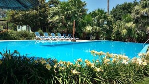 En pool med solstolar och tropisk växtlighet.