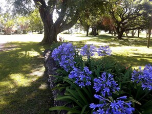 A park with trees and a grassy area. - Campo & Golf (Victoria)