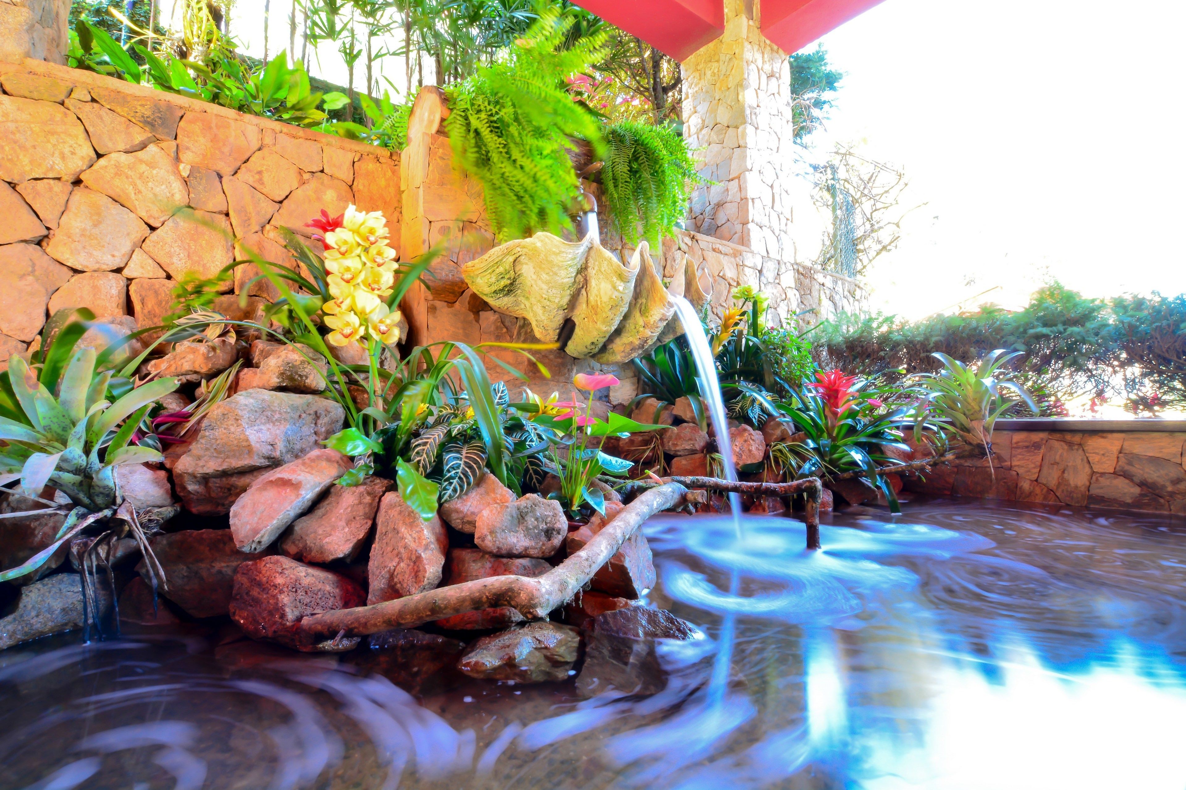 Um elemento aquático com uma cascata, rodeado por pedras e diversas plantas.