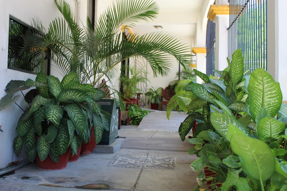 Hotel Arrecife Plus