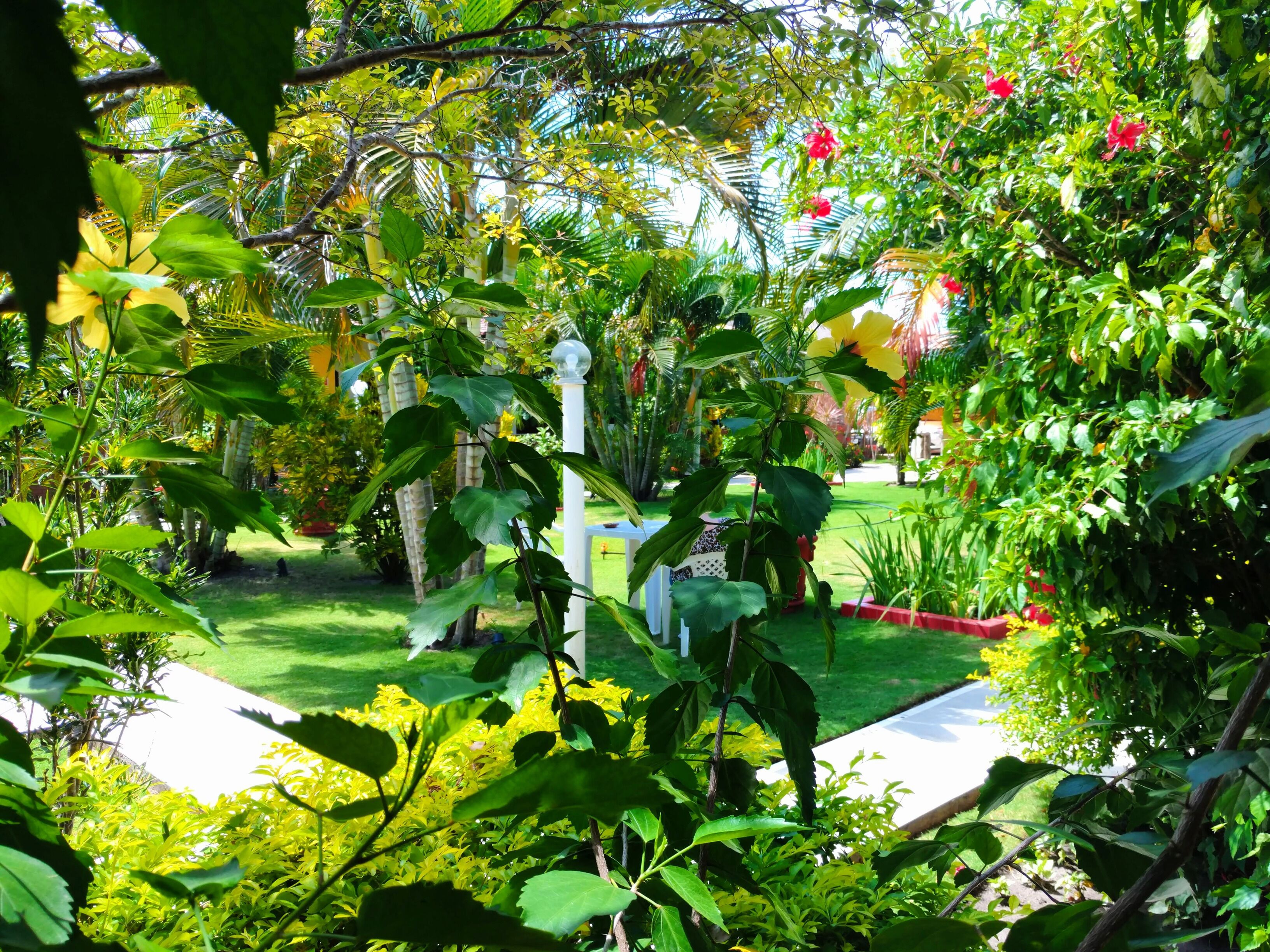 A lush garden with a variety of plants and flowers, a white gazebo, and a well-maintained lawn.