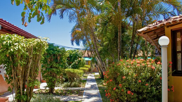 A pathway leading through a garden with various plants and a building with a tiled roof.