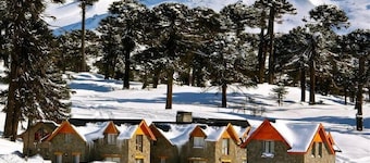 Cabañas Patagonia Village