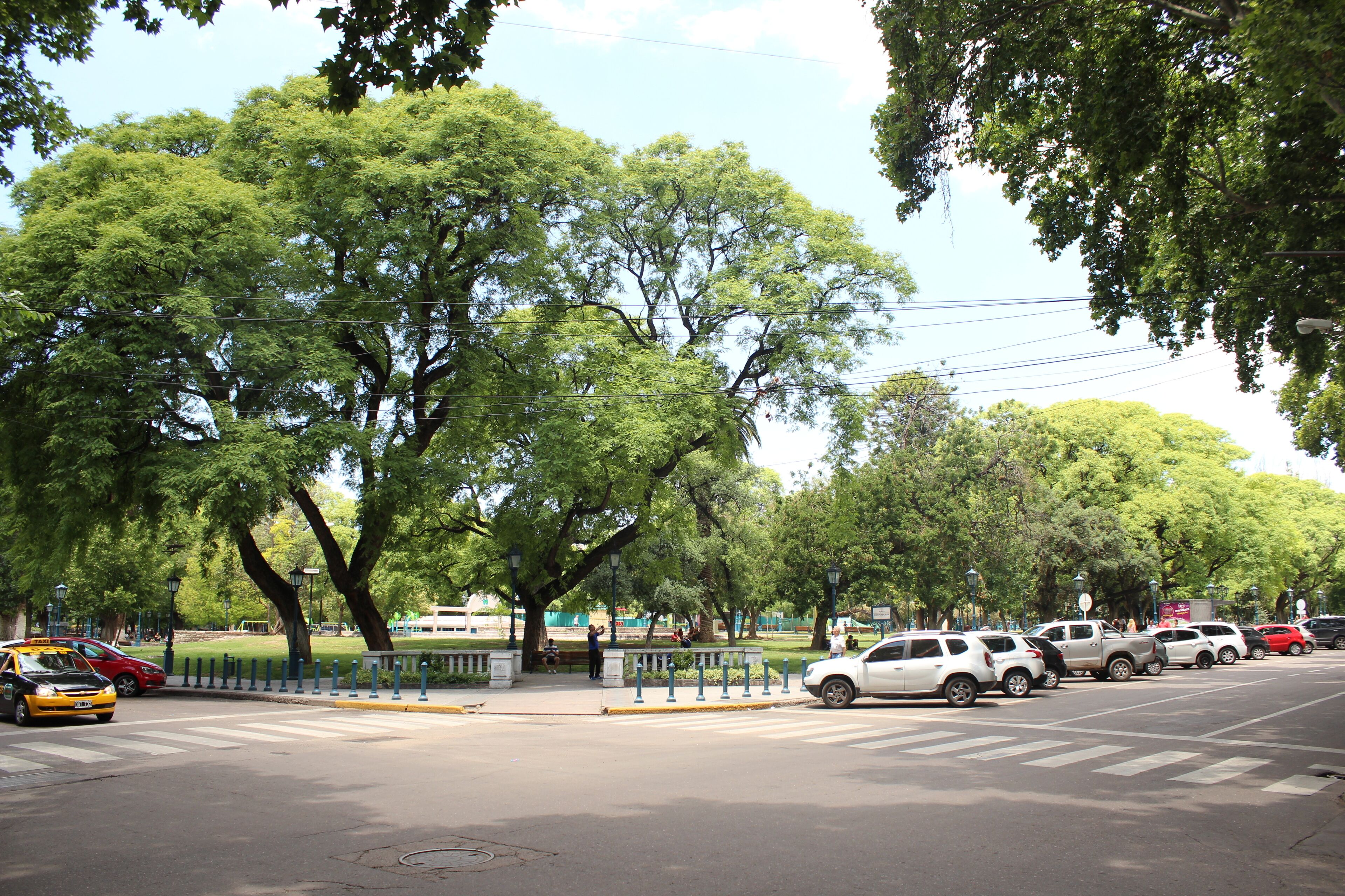 A street lined with trees and parked cars.
