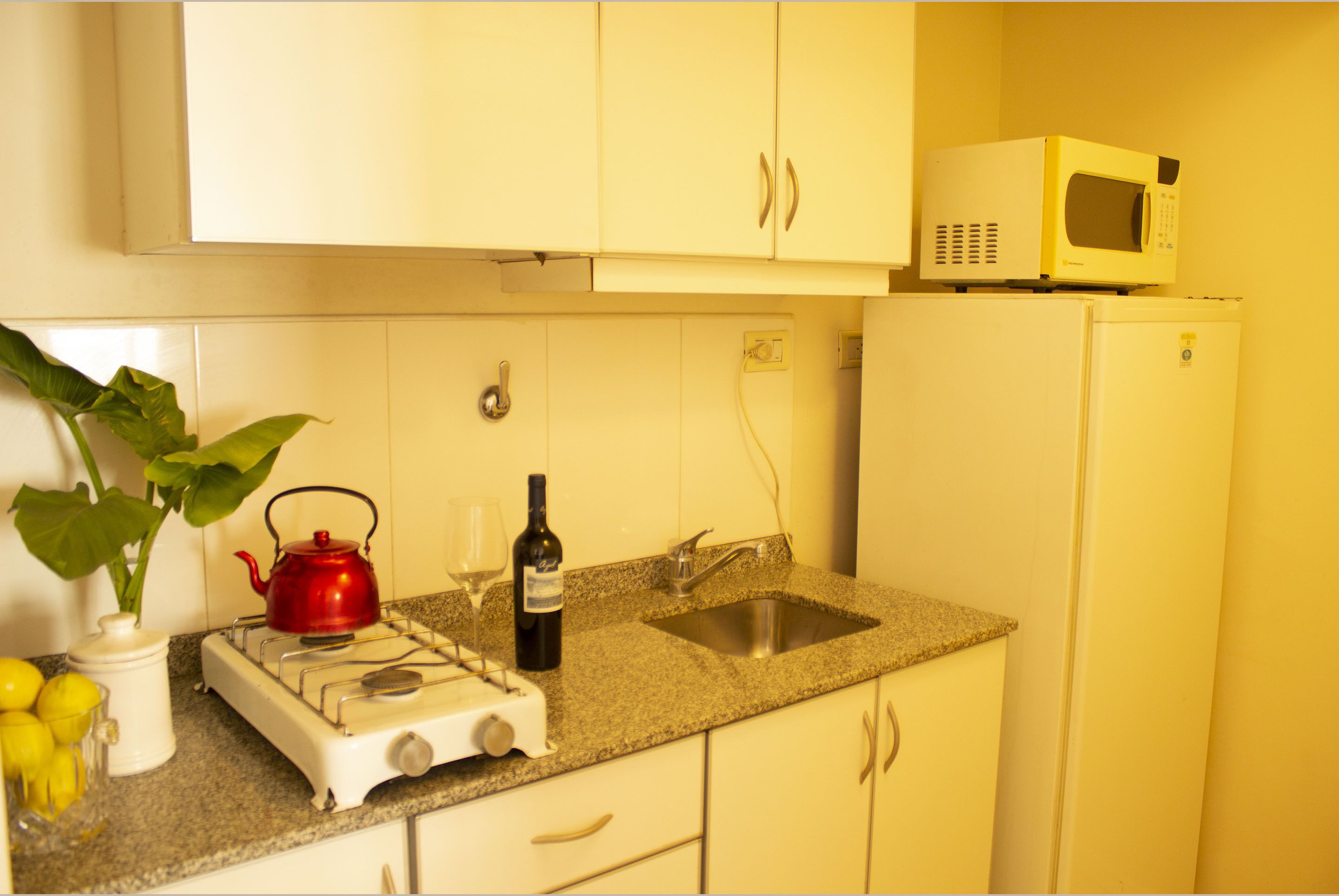 Une cuisine avec des meubles blancs, une cuisinière à gaz, une bouilloire rouge, un four à micro-ondes, un évier et une plante en pot.