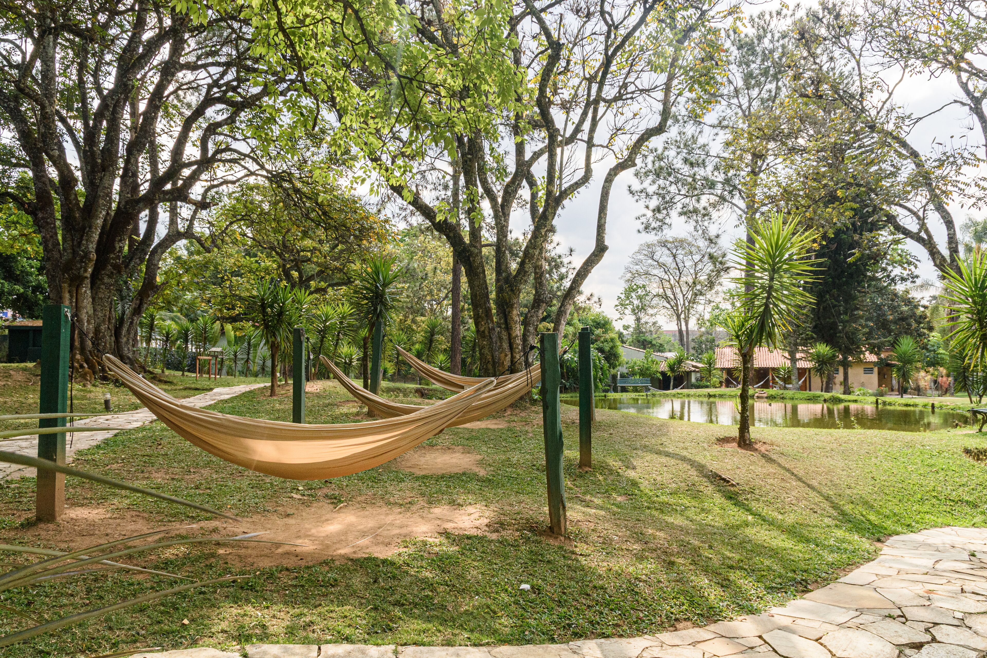 Una hamaca en un parque con árboles y un estanque.