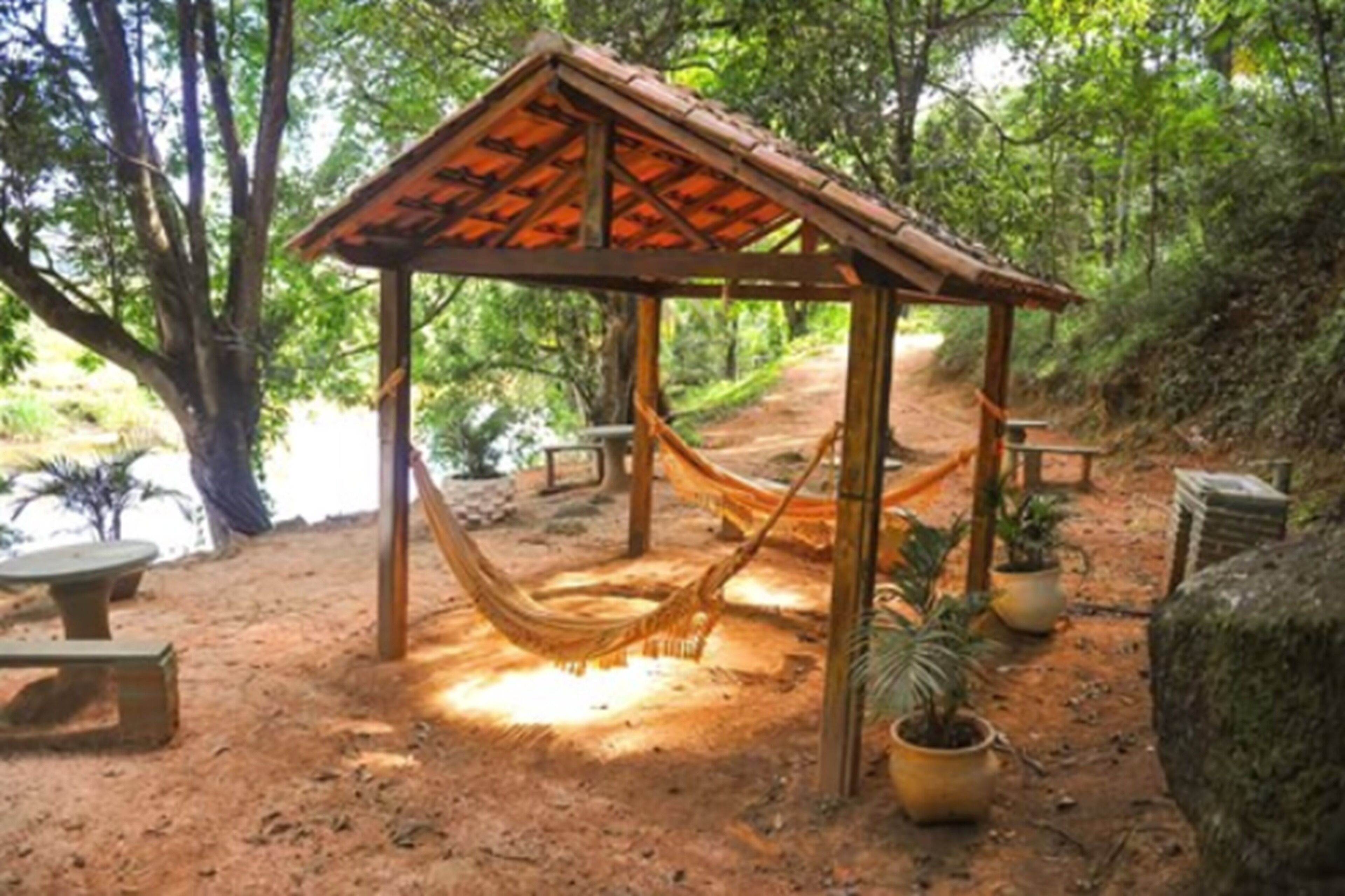 Una estructura de madera rústica con techo de paja, una hamaca y macetas con plantas, rodeada por un camino de tierra y follaje.