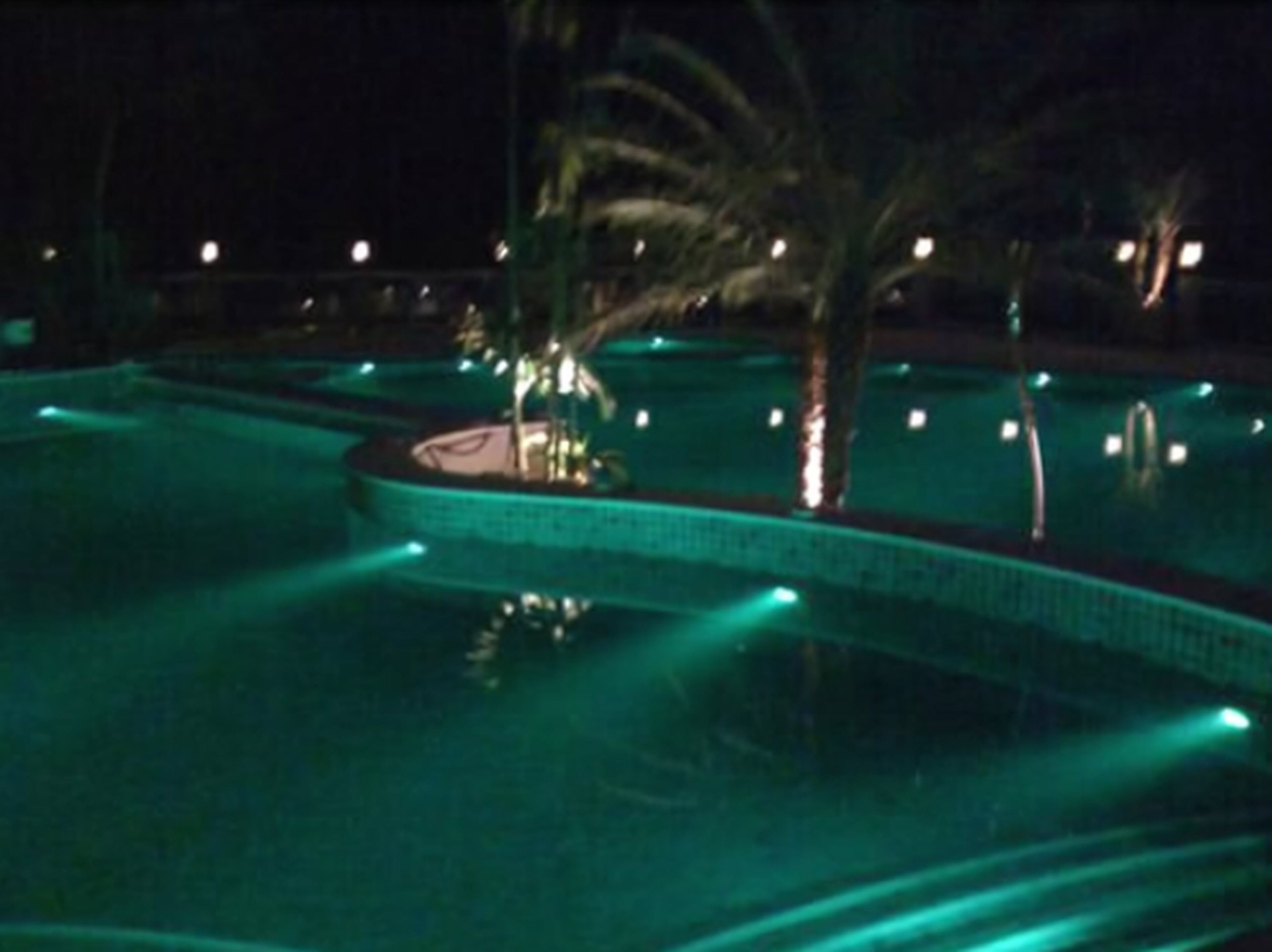 Vista noturna de uma piscina com uma palmeira e um muro de pedra.