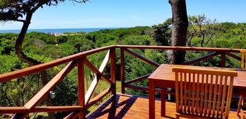 Dúplex estándar | Terraza o patio