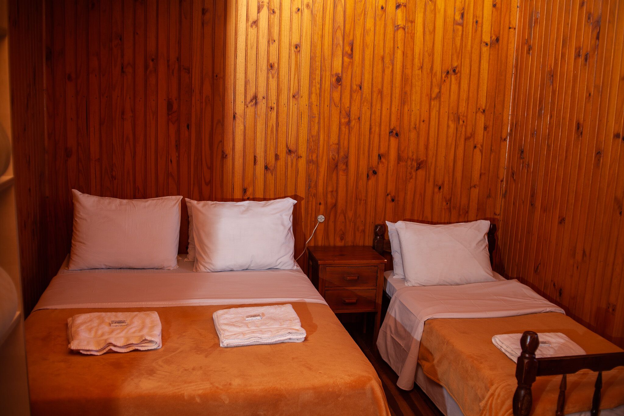 A room with two beds, wooden walls, and a nightstand with a lamp.
