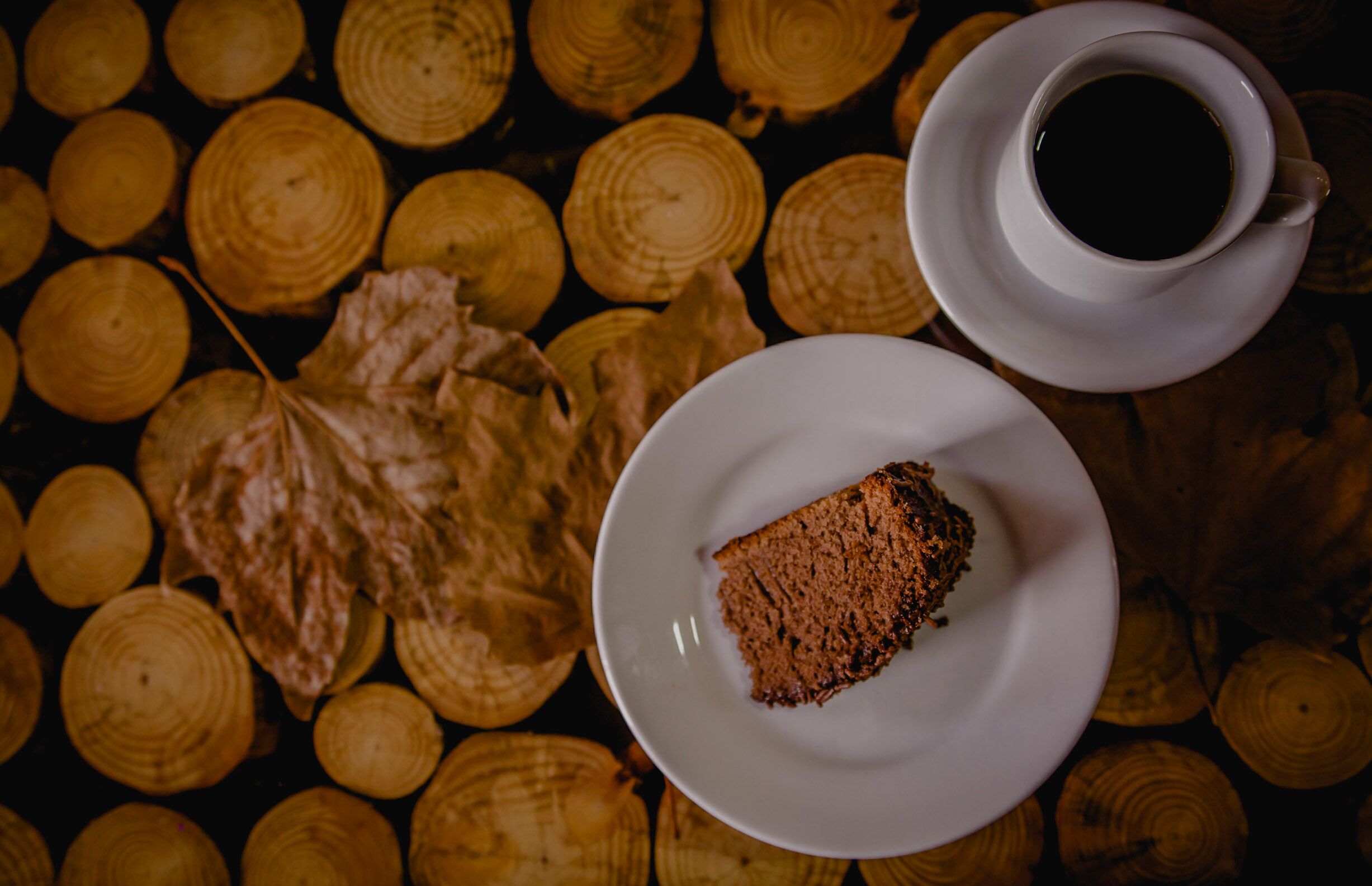 A slice of cake on a white plate, a cup of coffee, and a large leaf on a background of wooden logs.