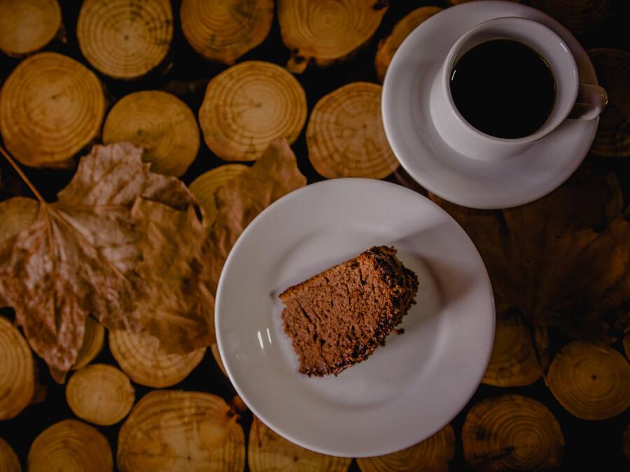 A slice of cake on a white plate, a cup of coffee, and a large leaf on a background of wooden logs.