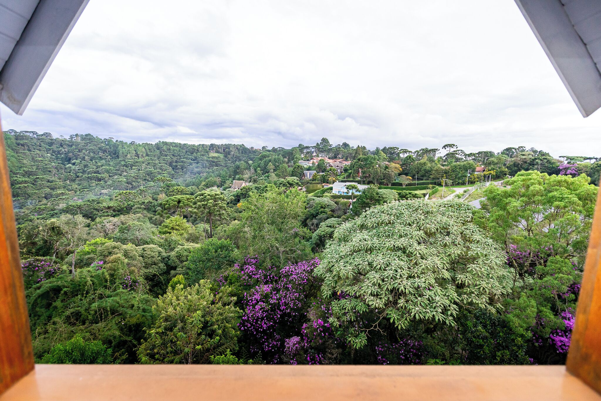 Photo - Villa Hegus no Alto da Boa Vista