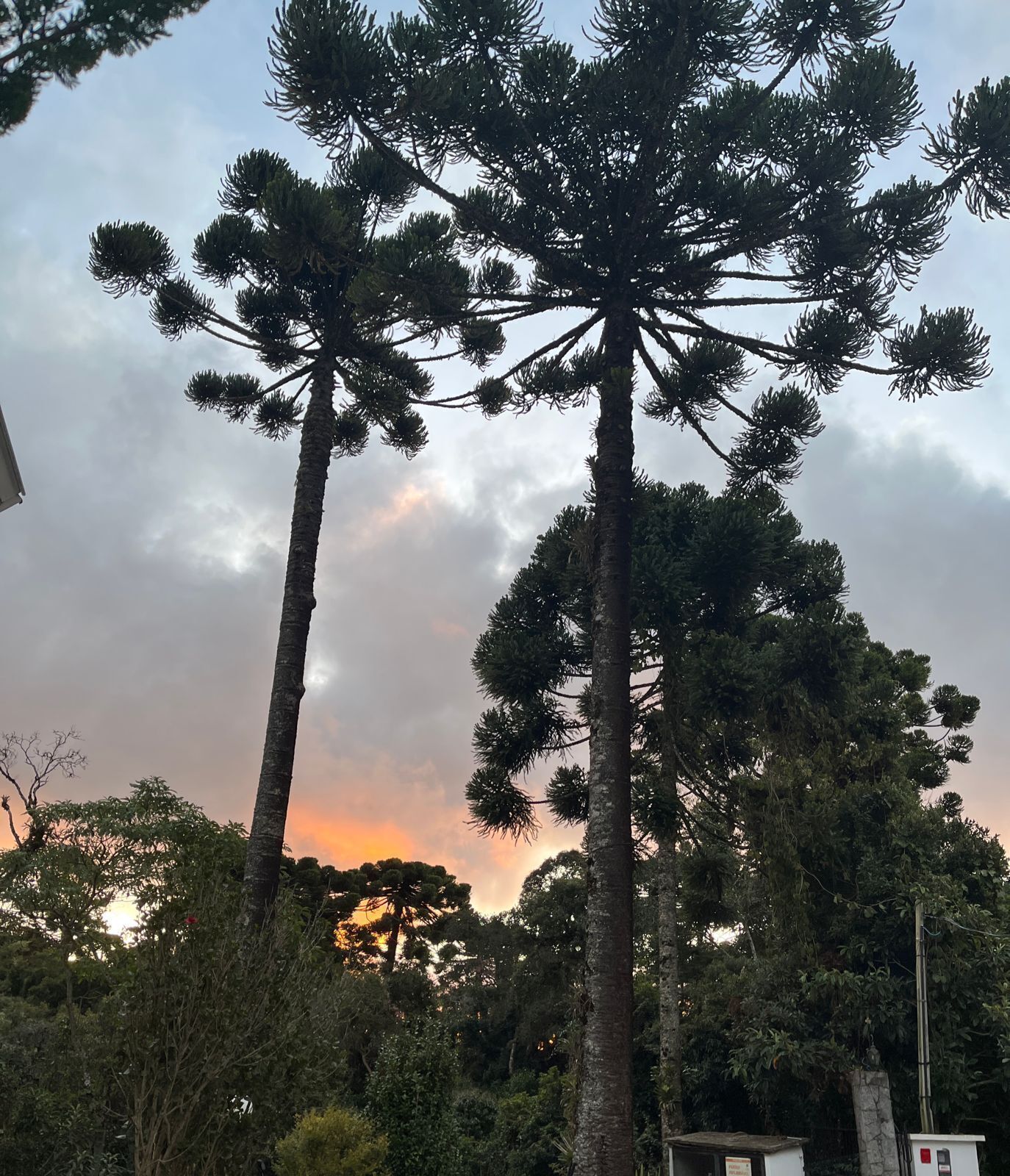 Photo - Villa Hegus no Alto da Boa Vista