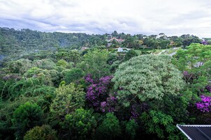 Uma paisagem exuberante e verdejante, com folhagem densa e algumas flores roxas.