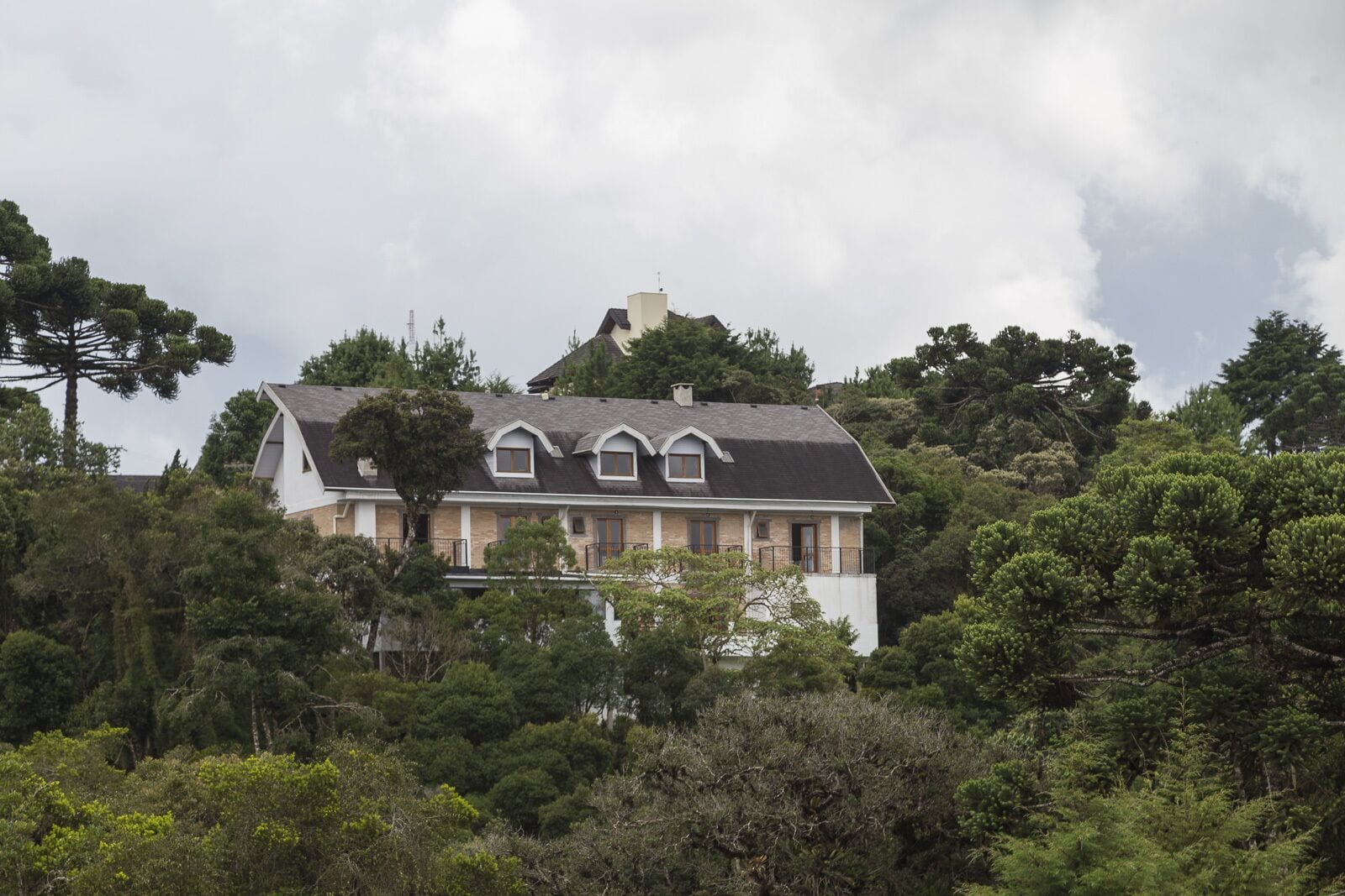 Photo - Villa Hegus no Alto da Boa Vista